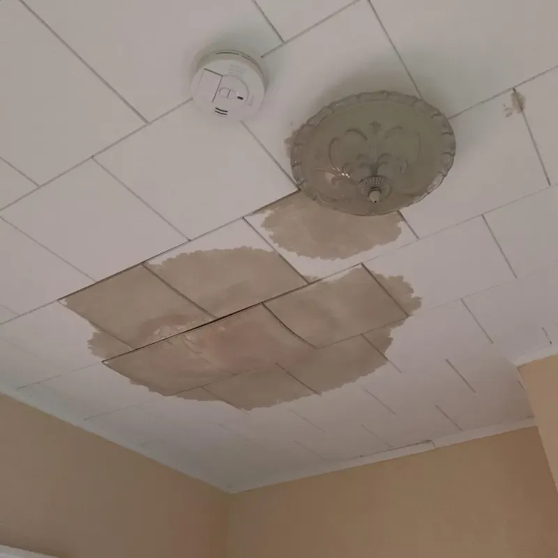 Ceiling Water Damage Repair in Sudbury, MA