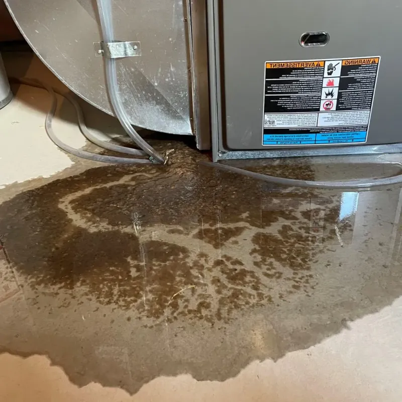 Pipe Burst and Leak Restoration in Sudbury, MA